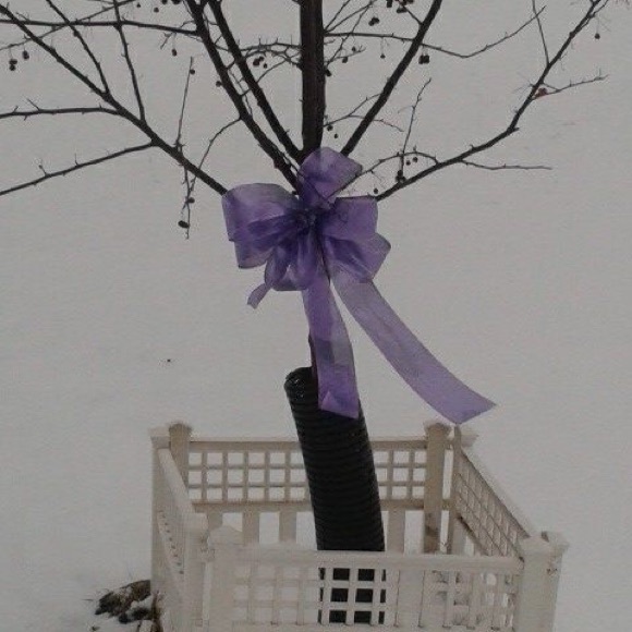 Meet your Posher, Heather - Picture 4 of 6